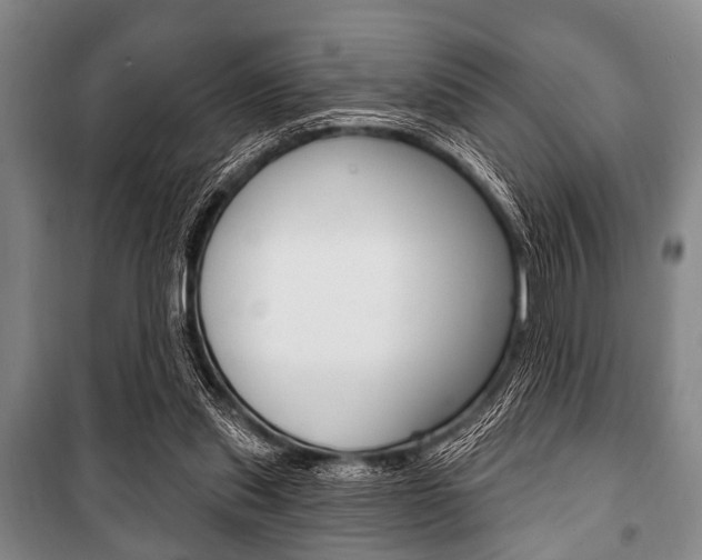 X0000101200253200806270836