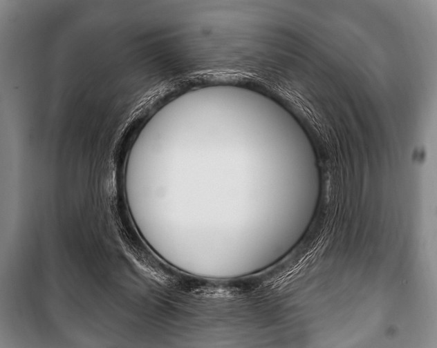 X0000101200254200806270836