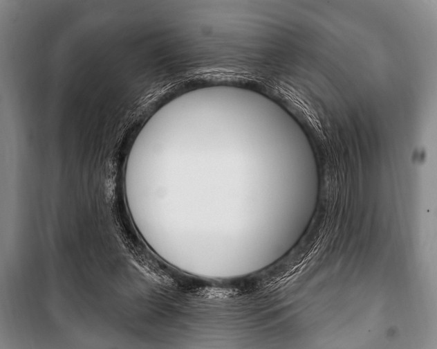 X0000101200255200806270836