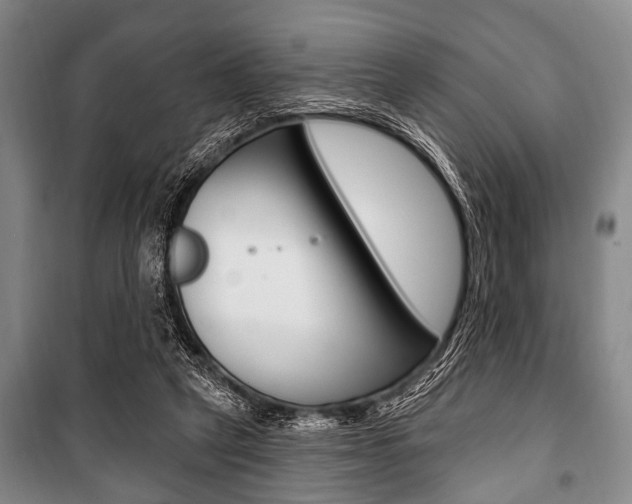 X0000101200257200806270836