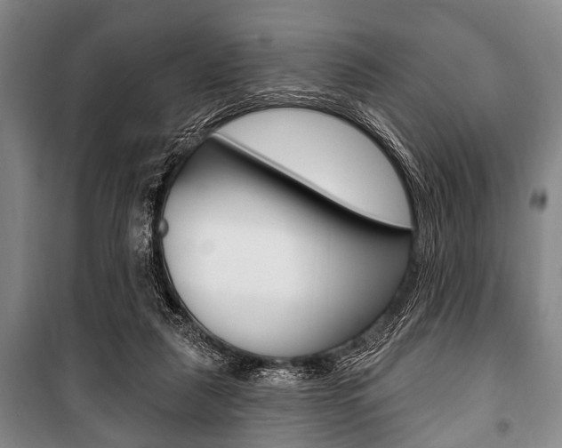 X0000101200259200806270836