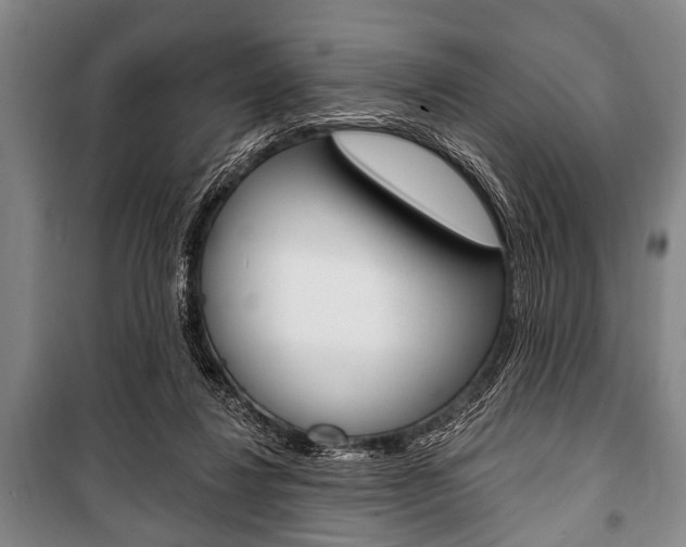 X0000101200260200806270836
