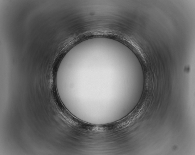X0000101200261200806270836