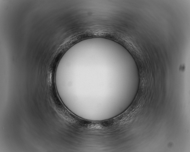 X0000101200262200806270836