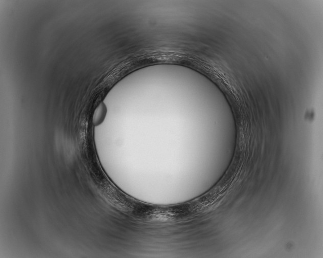 X0000101200263200806270836