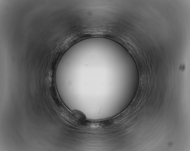 X0000101200264200806270836