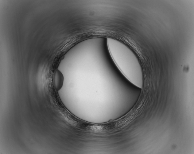 X0000101200265200806270837