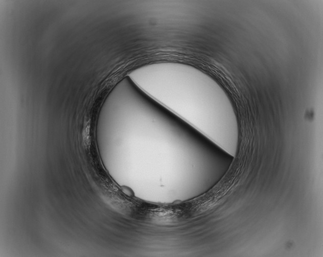 X0000101200267200806270837