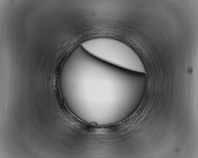 X0000101200268200806270837