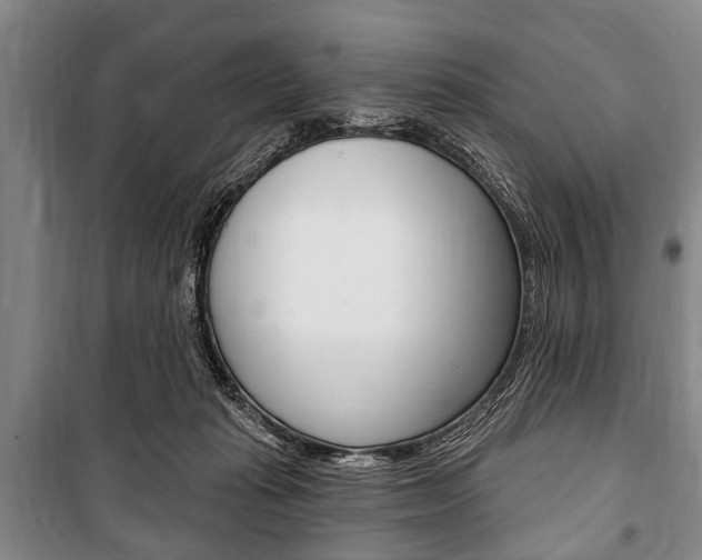 X0000101200269200806270837