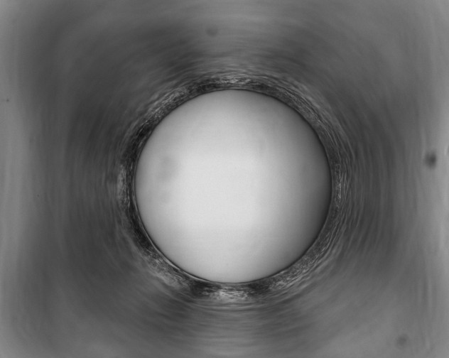 X0000101200270200806270837