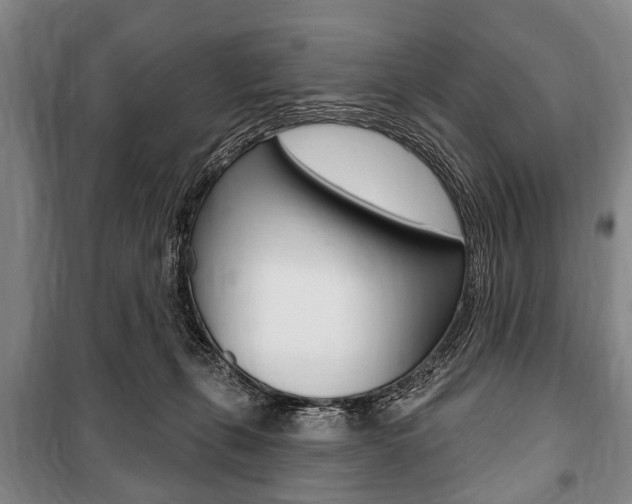 X0000101200271200806270837