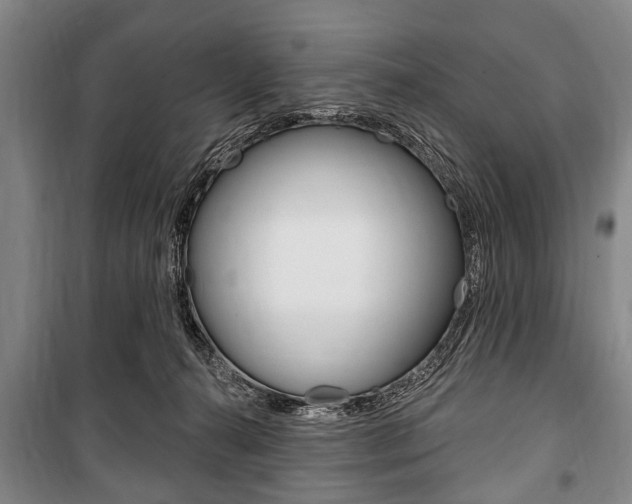 X0000101200272200806270837