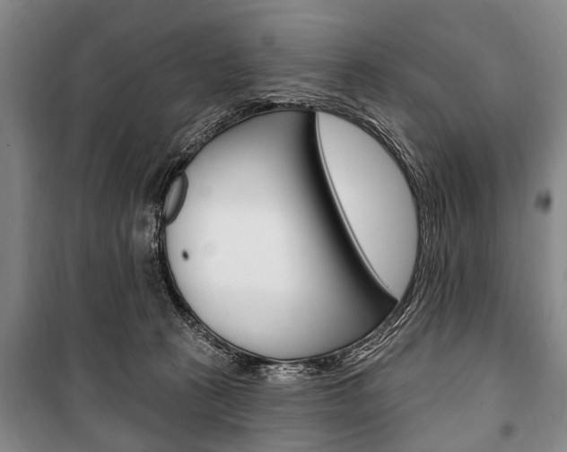 X0000101200273200806270837
