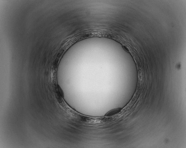 X0000101200276200806270837