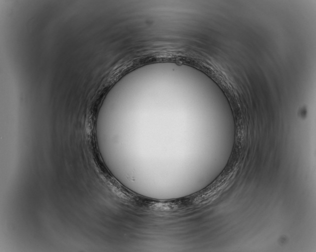 X0000101200277200806270837