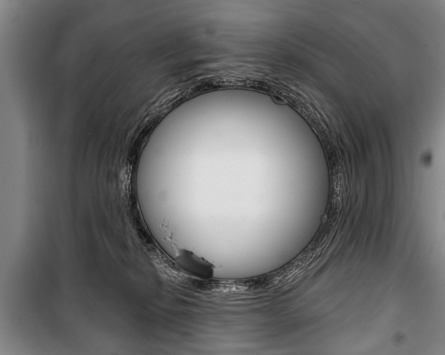 X0000101200278200806270837