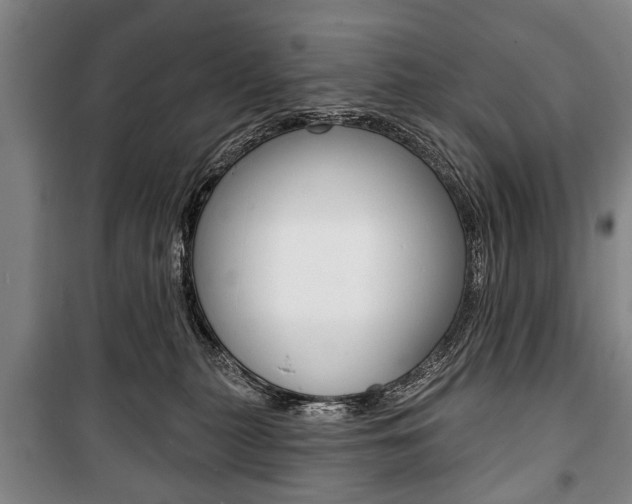 X0000101200279200806270837