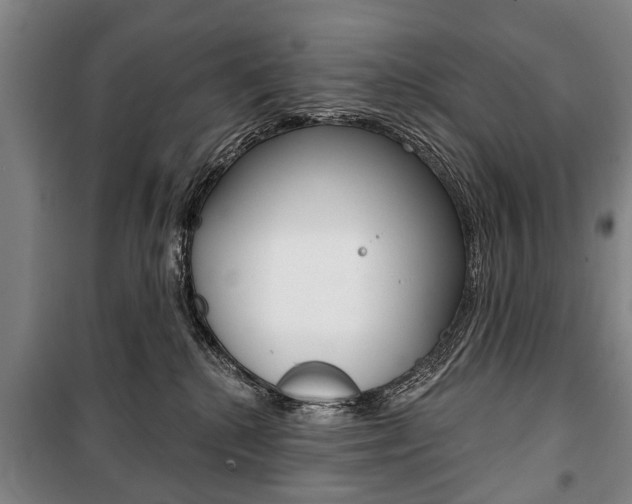 X0000101200280200806270837