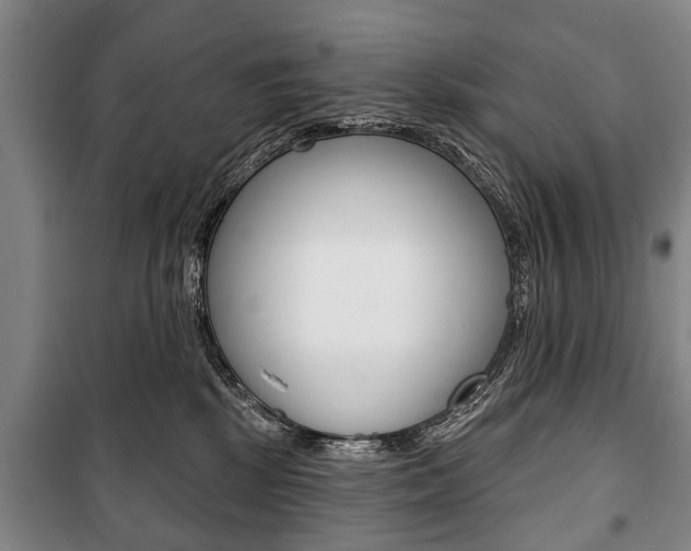 X0000101200281200806270837
