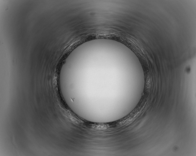 X0000101200282200806270837