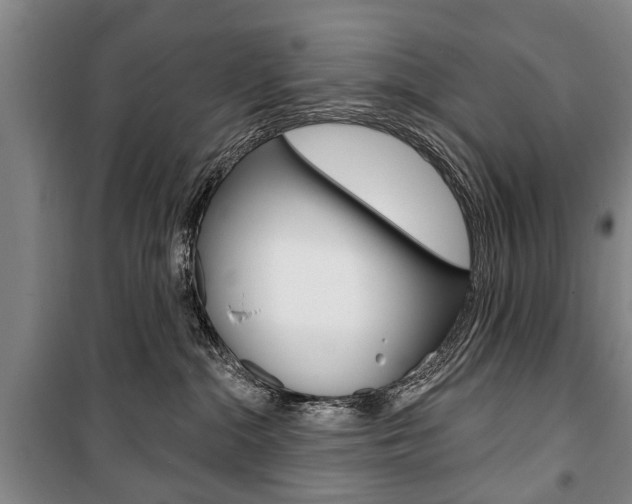 X0000101200284200806270837
