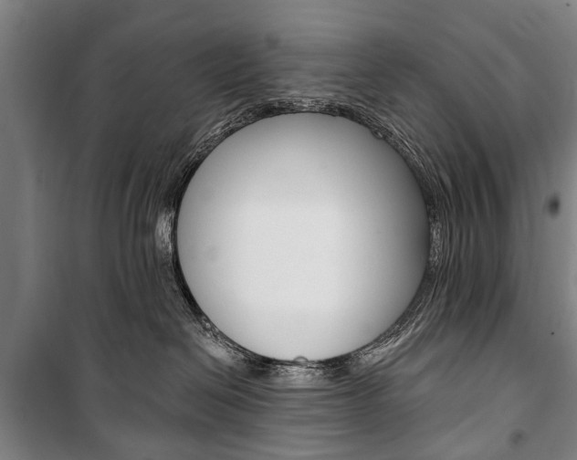 X0000101200286200806270837