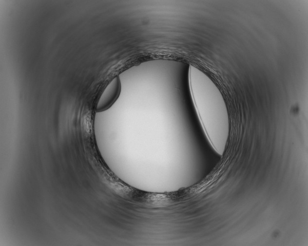 X0000101200287200806270837