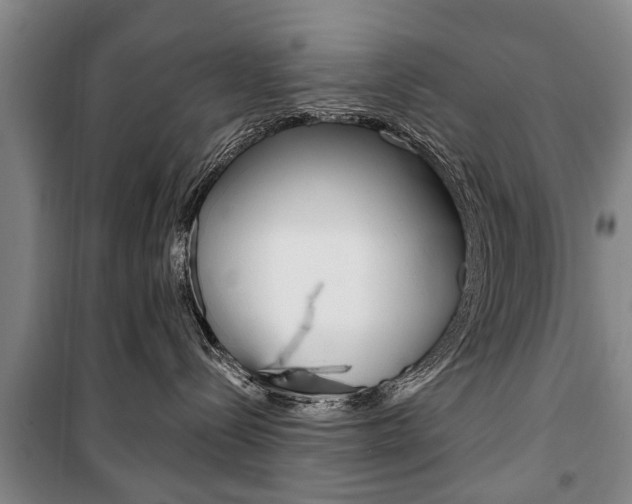 X0000101200288200806270837