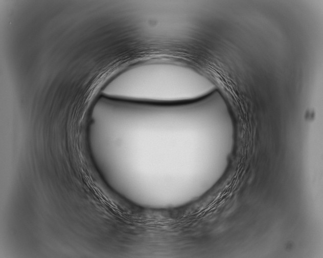 X0000101200289200806270836