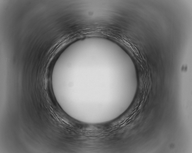 X0000101200290200806270836