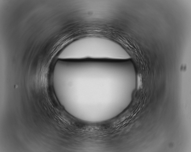X0000101200291200806270836