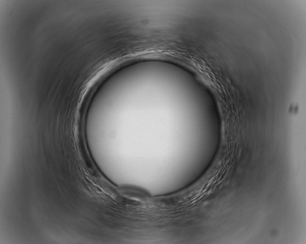 X0000101200292200806270836