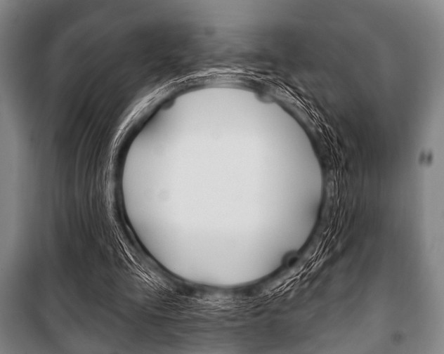 X0000101200293200806270836
