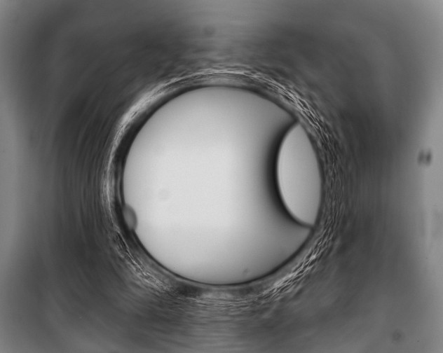 X0000101200294200806270836