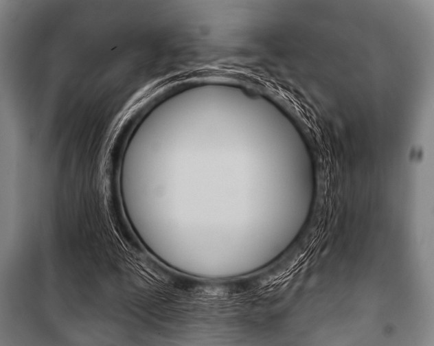 X0000101200295200806270836