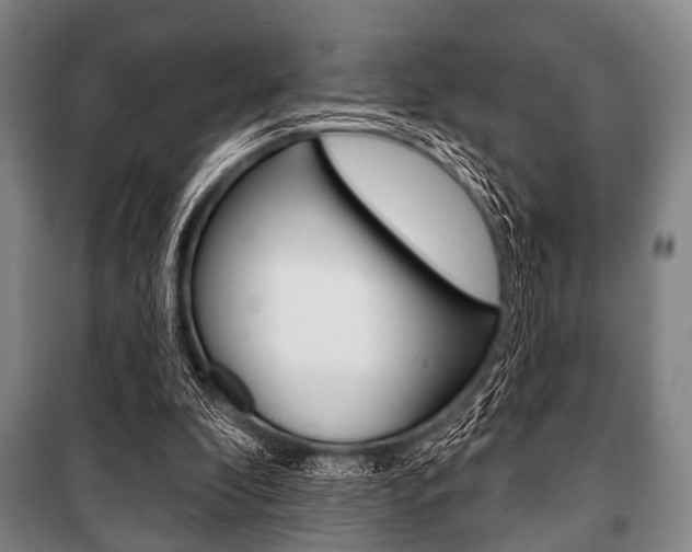 X0000101200296200806270836