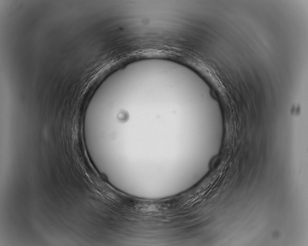 X0000101200297200806270836