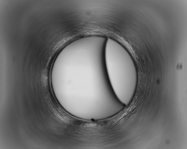 X0000101200298200806270836