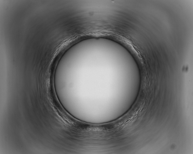 X0000101200299200806270836