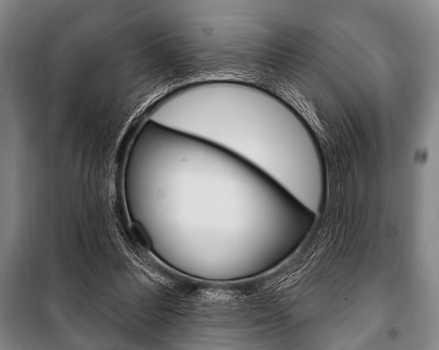 X0000101200300200806270836