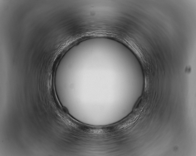 X0000101200301200806270836