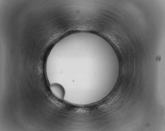 X0000101200303200806270836