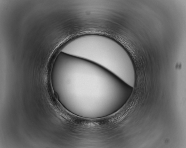 X0000101200304200806270836