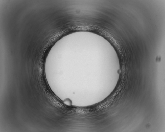 X0000101200305200806270836