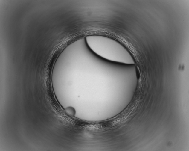 X0000101200306200806270836