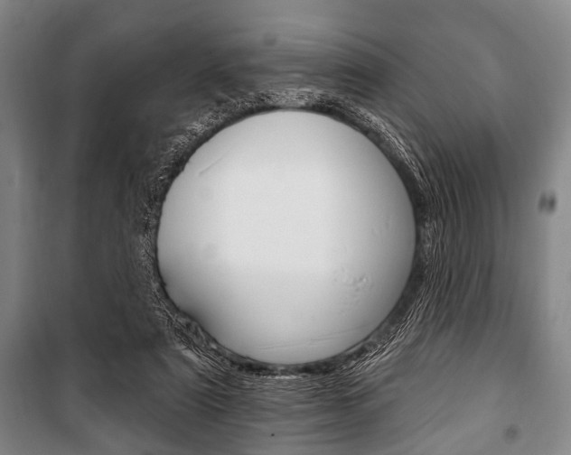 X0000101200307200806270836