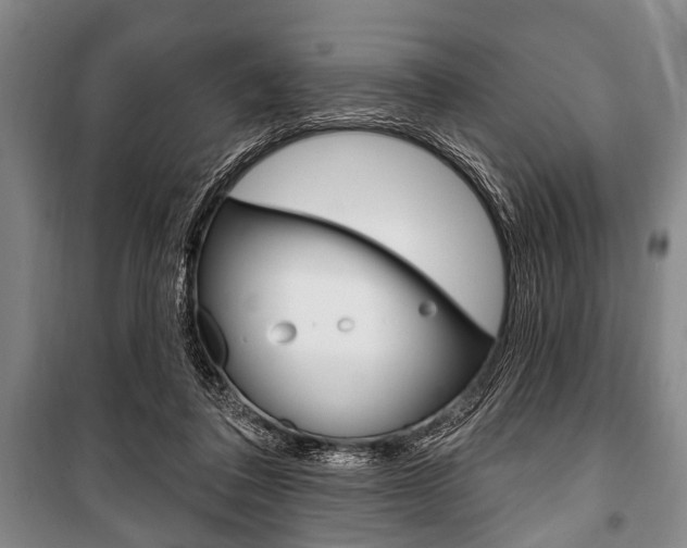 X0000101200308200806270836