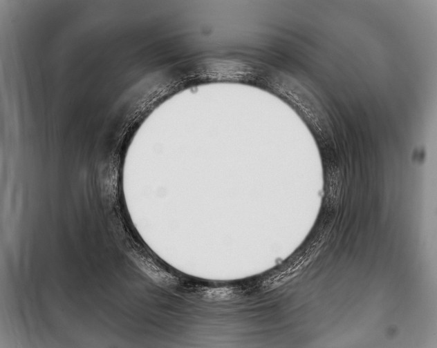 X0000101200309200806270836
