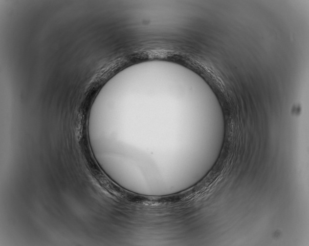 X0000101200311200806270836